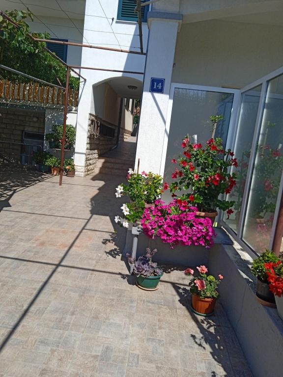 Apartman Jasmin – fotografija 4
