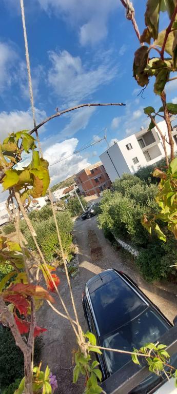 Apartman Bruno – fotografija 2