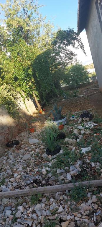 Apartman Bruno – fotografija 3