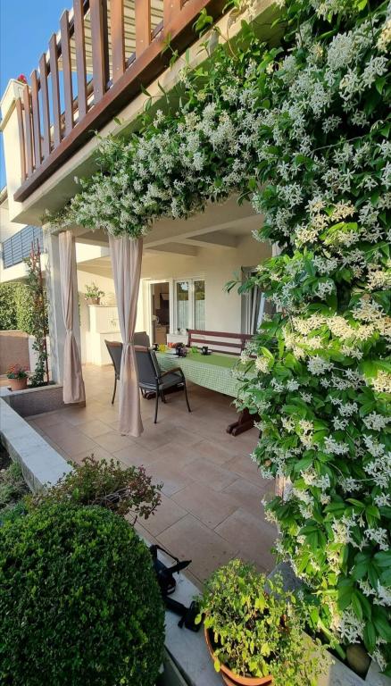Apartman Jasmin – fotografija 6