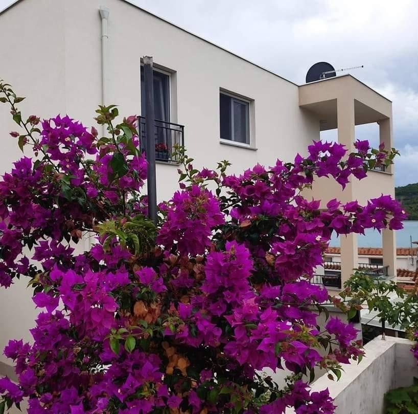 Apartmani Obratov – fotografija 1