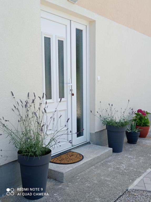 Apartman Linda – fotografija 3
