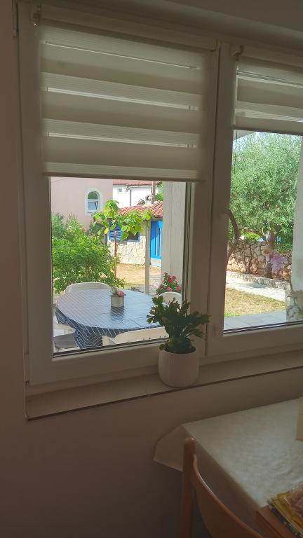 Apartman Dubravka – fotografija 5