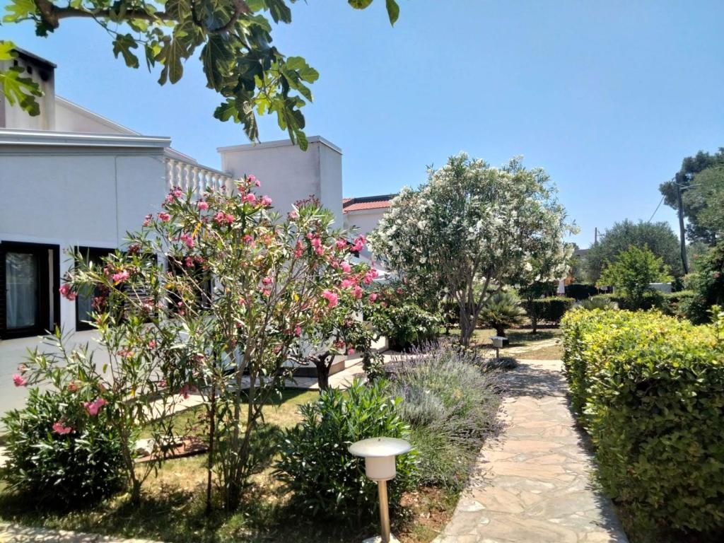 Apartmani Budija Lavanda – fotografija 3