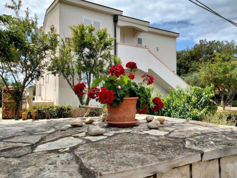 Apartmani Budija Viola – fotografija 2