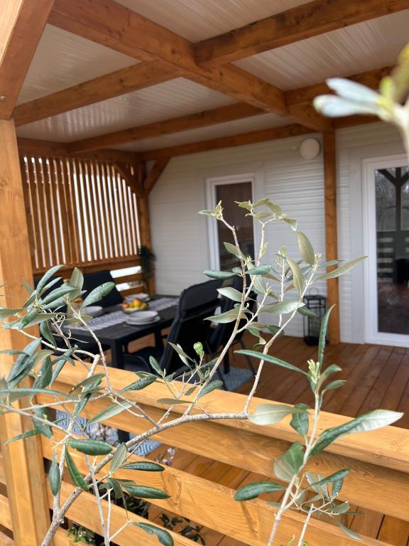 Mobilna kućica Olive Nest – fotografija 4