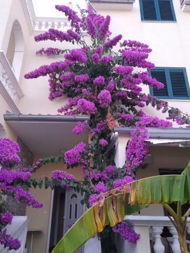 Apartmani Vulin – fotografija 4