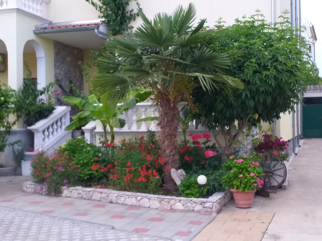 Apartmani Vulin – fotografija 5