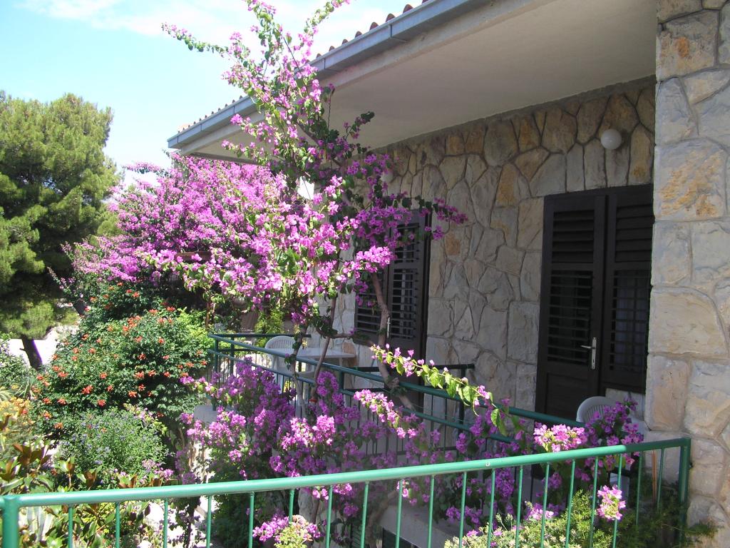 Apartman Podraće – fotografija 4