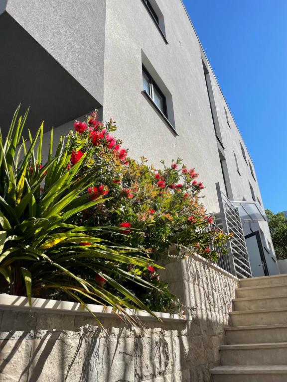 Apartman Premium Suites – fotografija 3