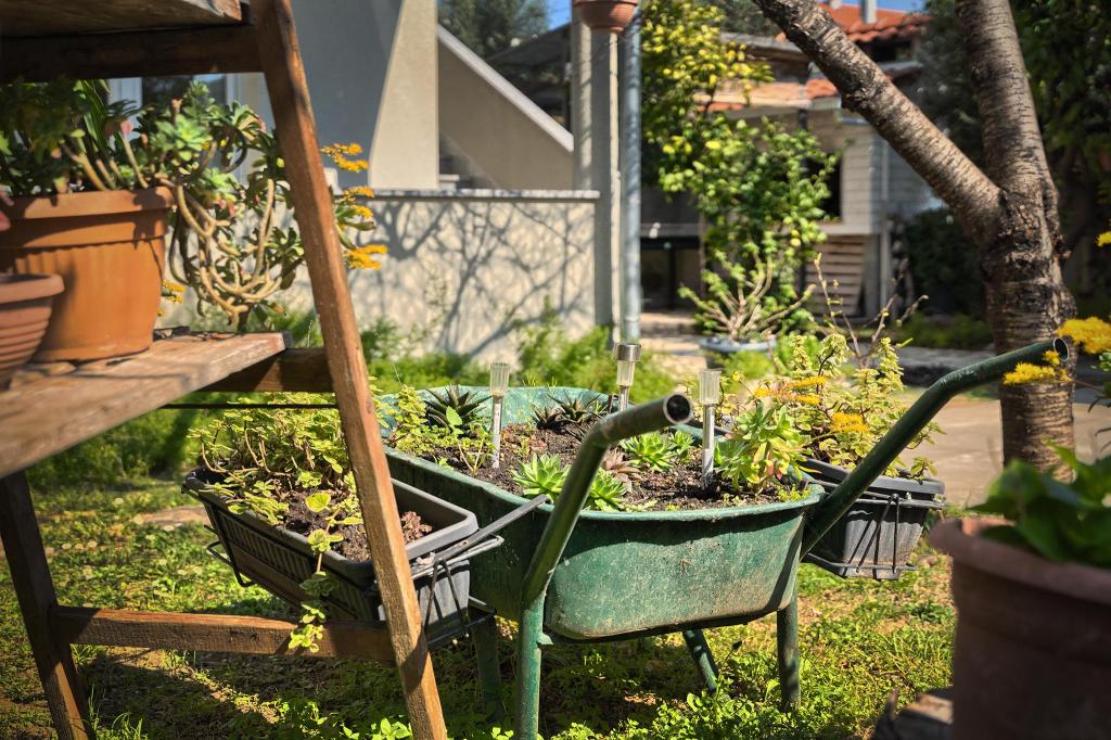 Apartman Tiki – fotografija 4