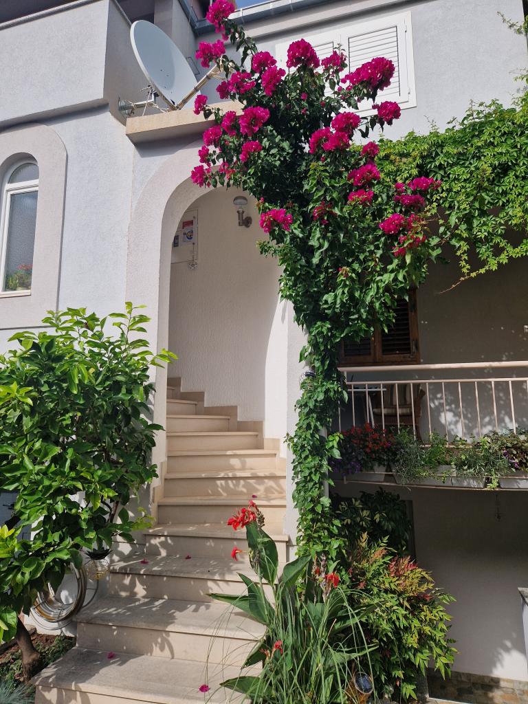 Apartmani Ivanka – fotografija 5