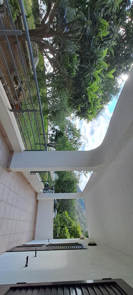 Apartmani Legin – fotografija 6