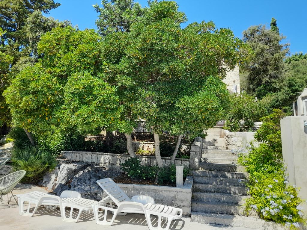 Apartmani Katarina S – fotografija 5