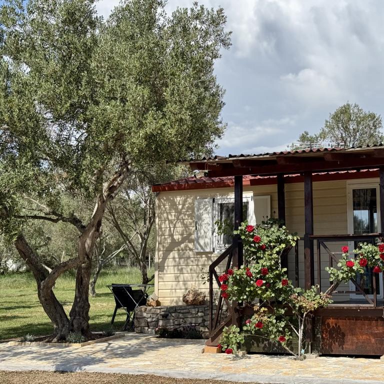 Mobilna kućica Petra – fotografija 3