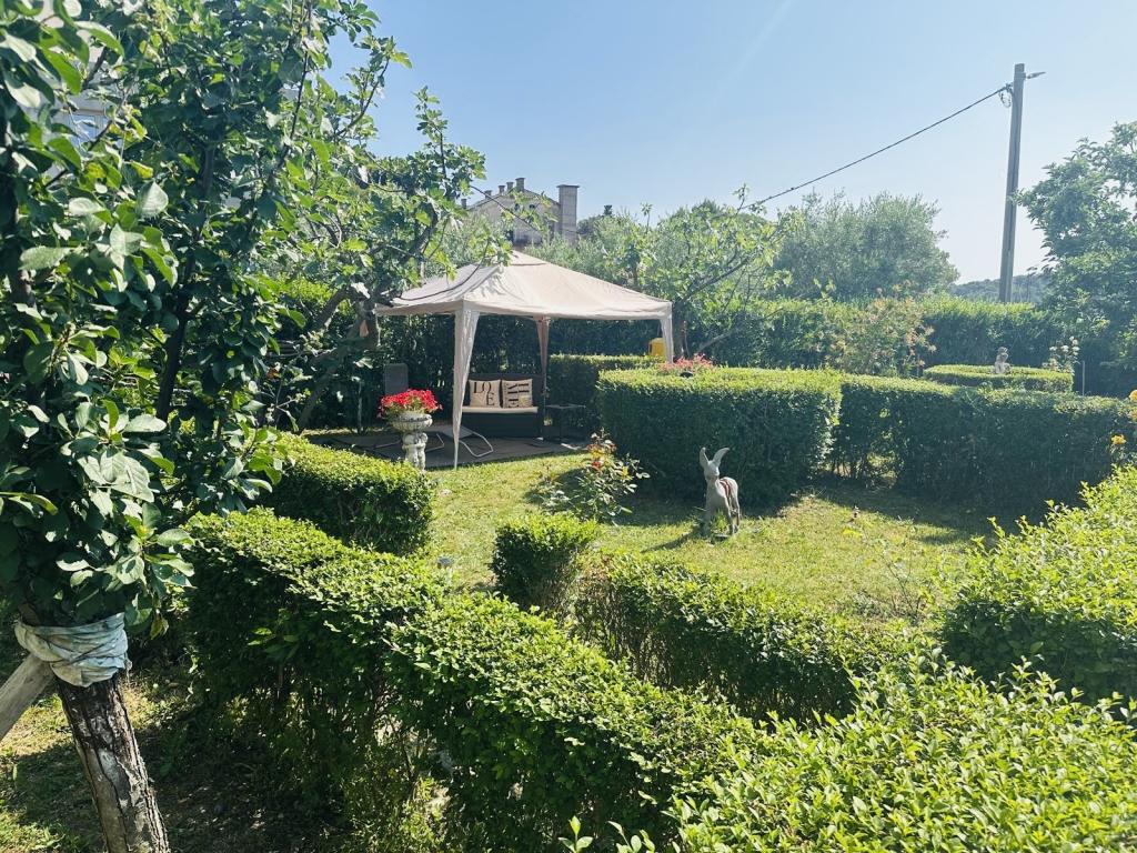 Kuća za odmor Guesthouse Mira – fotografija 2