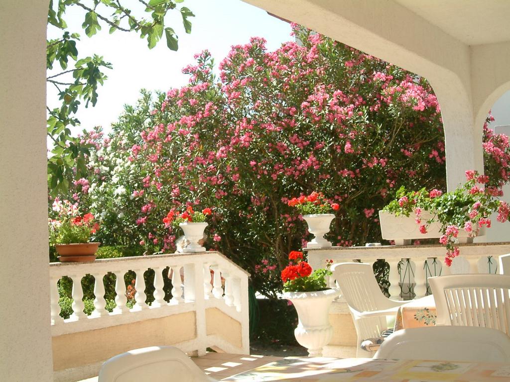 Kuća za odmor Guesthouse Mira – fotografija 4