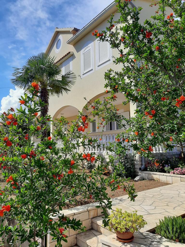 Apartmani Duzelovi Dvori – fotografija 6
