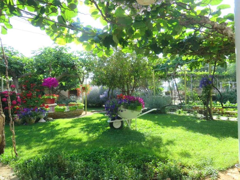 Apartmani Roza – fotografija 4
