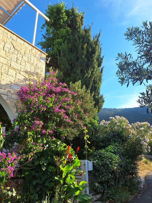 Apartmani Prvan – fotografija 4
