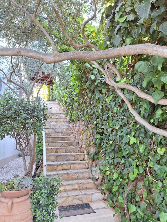 Apartmani Prvan – fotografija 5