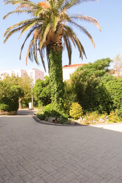 Apartmani BePina – fotografija 6