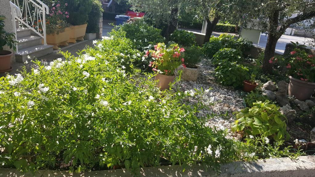 Apartmani Luxe Residence – fotografija 2