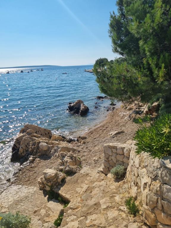 Apartmani Ivana i Branimir – fotografija 5