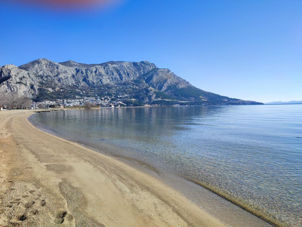 Apartmani Marin – fotografija 5