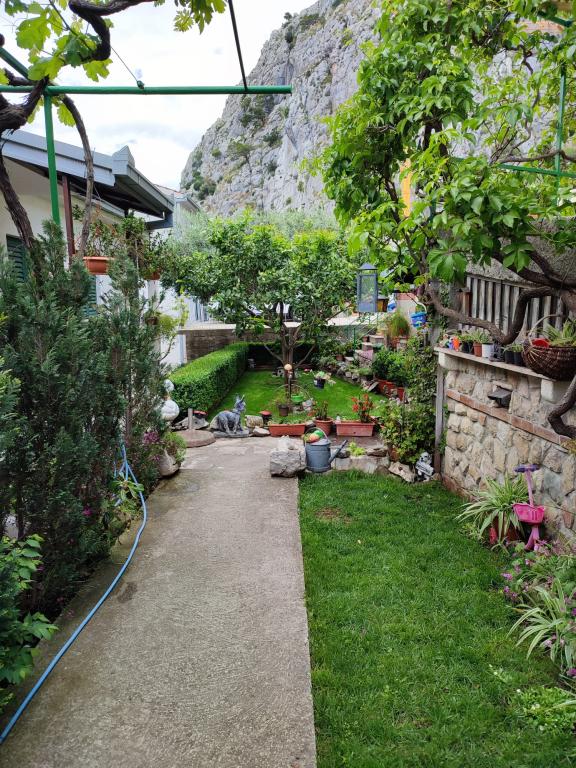 Apartmani Marin – fotografija 6
