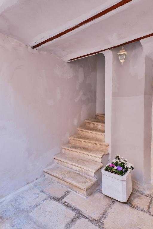 Apartmani Agora – fotografija 4