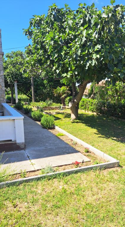 Apartmani Frani – fotografija 5