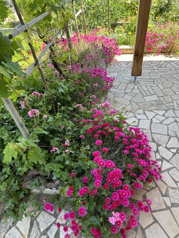 Apartmani Ankica 1 – fotografija 2