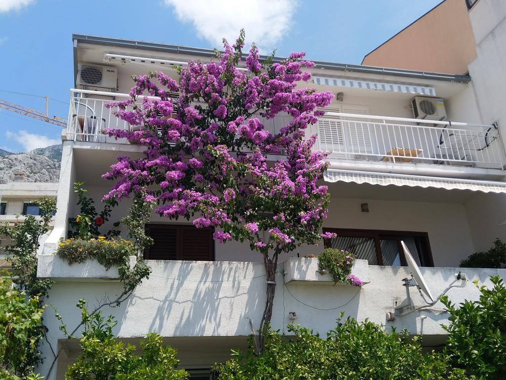 Apartmani Dević – fotografija 2