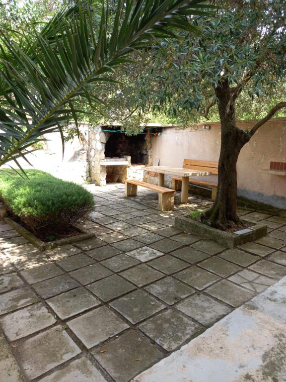 Apartmani M Drlje – fotografija 5