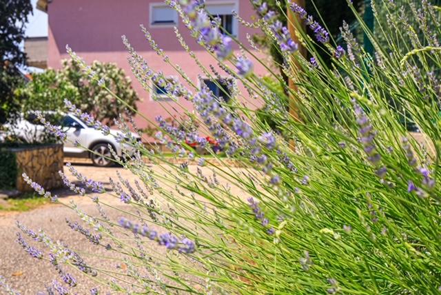 Apartman NM – fotografija 3