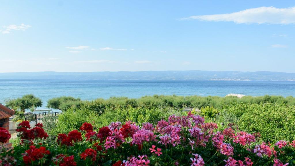 Apartmani Villa Ankora – fotografija 5