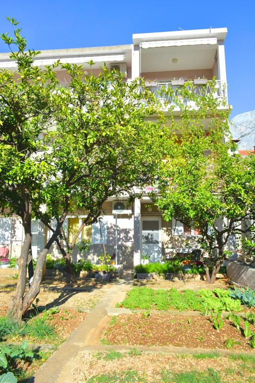 Apartmani Vela – fotografija 5