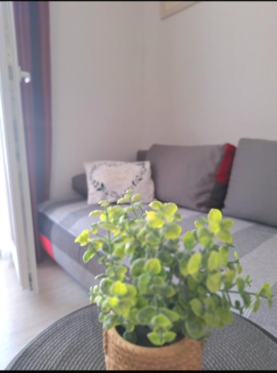 Apartman Ena – fotografija 6