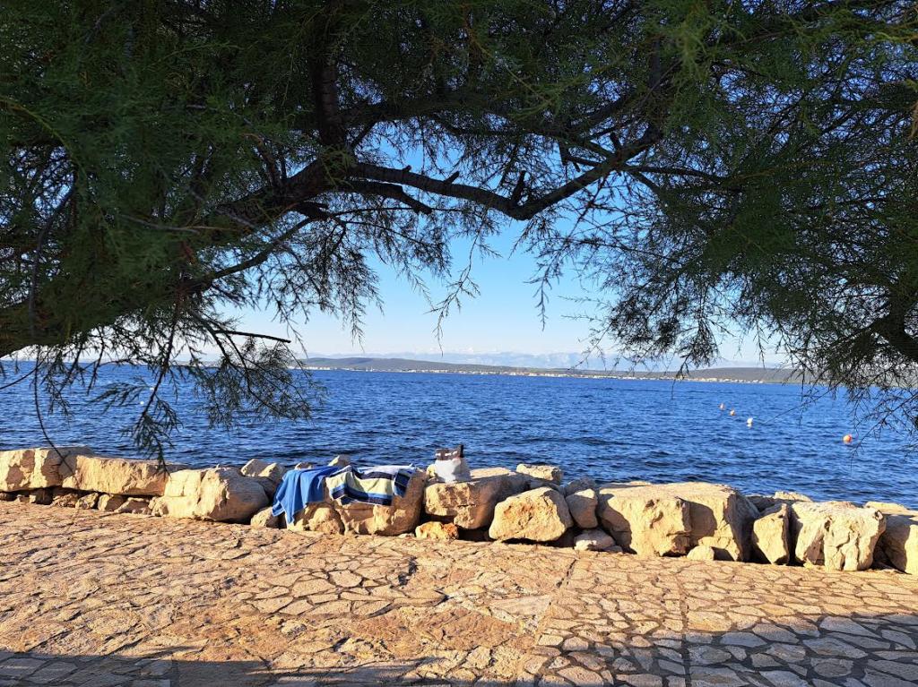 Apartmani Villa Banjka – fotografija 6