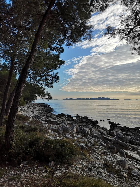Mobilna kućica Punta 1 – fotografija 6