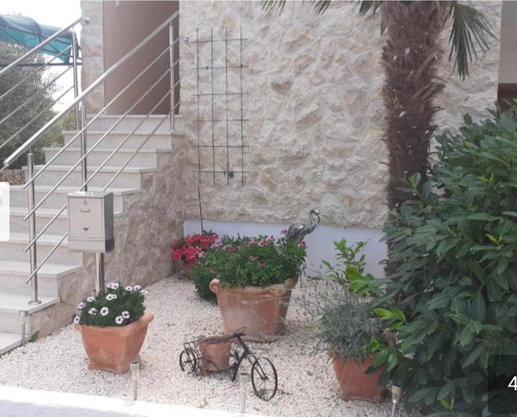 Apartman Nina – fotografija 5