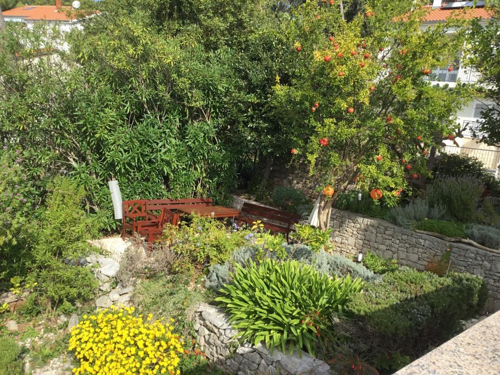 Apartmani Marija Todorić – fotografija 4