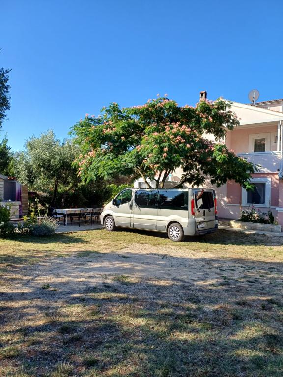 Apartmani Obala – fotografija 5