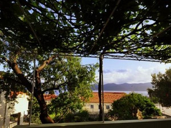 Apartmani Snjezana – fotografija 4