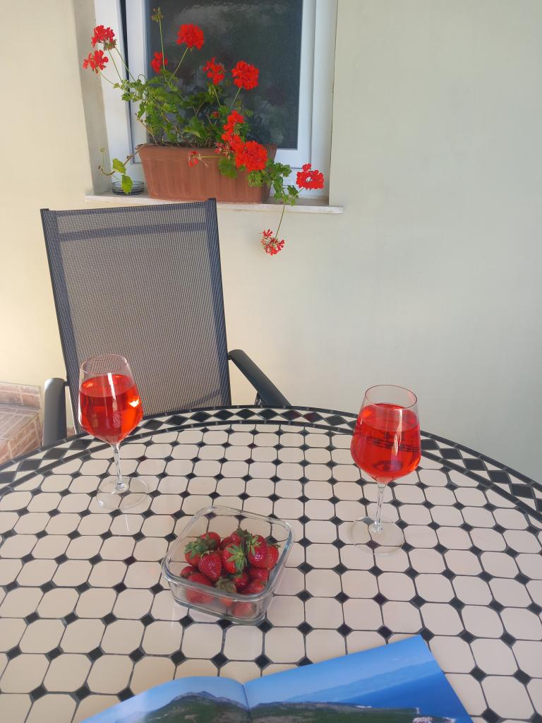 Apartman Vesna – fotografija 6