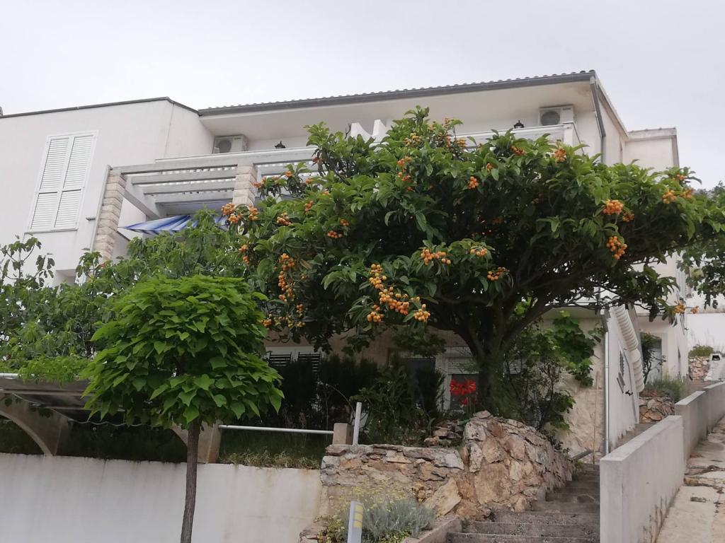 Apartmani Silvano – fotografija 3