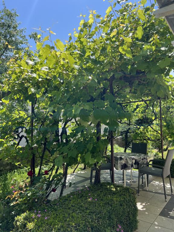 Apartmani Matea – fotografija 2