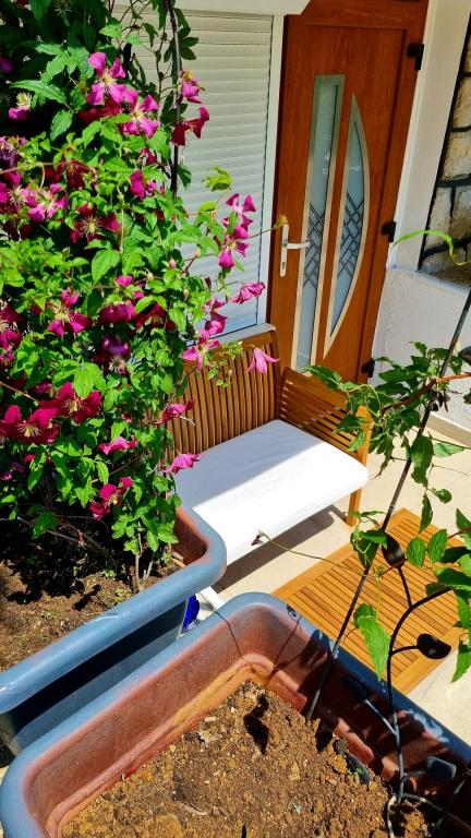 Apartmani Kira – fotografija 4