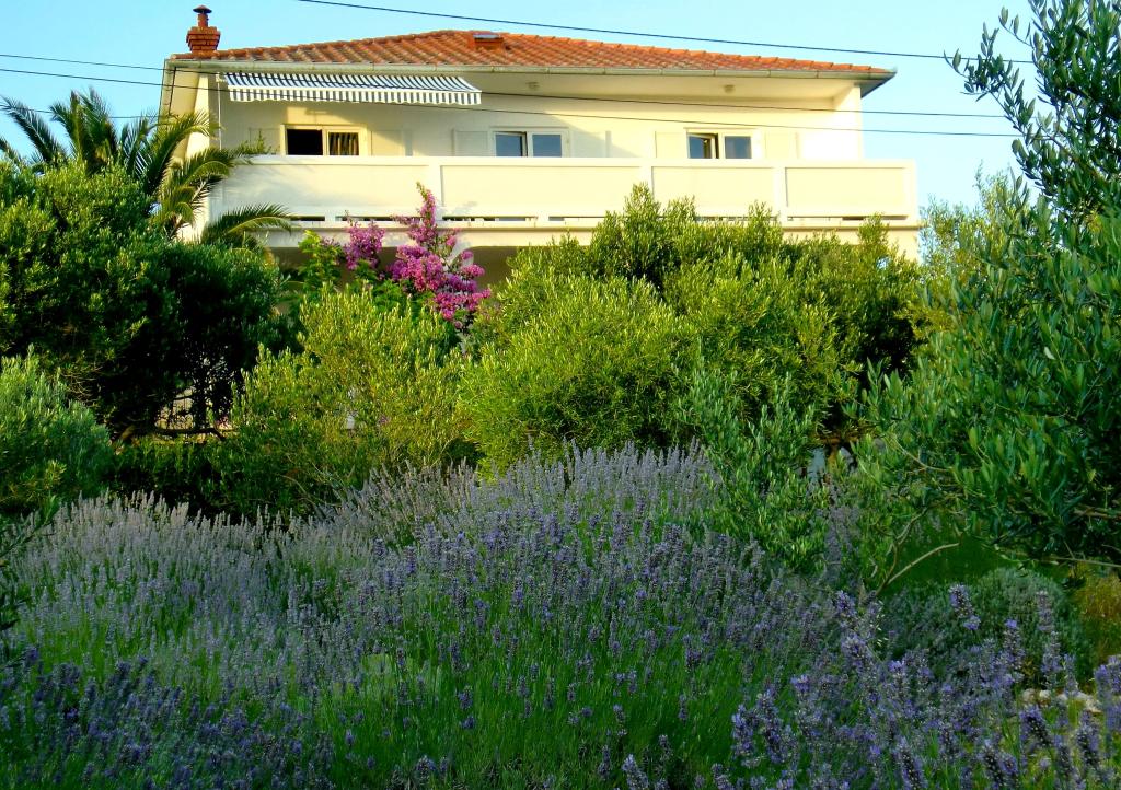 Apartmani Villa Lavanda – fotografija 5